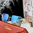 Foto de GAFAS CARTIER A35