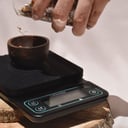 Foto de Gramera Coffee Gator