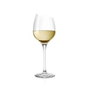 Foto de Copa Sauvignon blanc