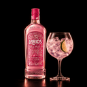 Foto de Gin Tonic  con Larios Rose