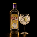 Foto de Gin Tonic con Larios