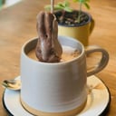 Foto de PASCUA CHOCOLATE