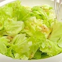 Foto de LECHUGA