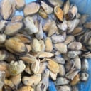 Foto de Mejillones 