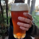 Foto de CERVEZA RUBIA LATA