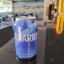 Foto de Acuarius