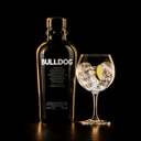 Foto de Gin Tonic con Bulldog ⭐Recomendado