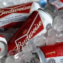 Foto de Budweiser 473 cc