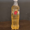 Foto de AQUARIUS 500CC MANZANA