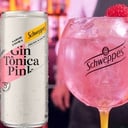 Foto de PINK TONIC