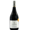 Foto de CALYPTRA - GRAN Pinot Noir