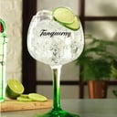 Foto de Gin Tonic Tanqueray
