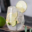 Foto de GIN TONIC - BOMBAY