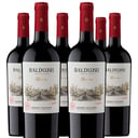 Foto de VINO BALDUZZI CARMENERE