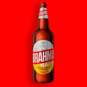 Foto de Brahma (1L)