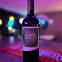 Foto de VASTAGO DE DE GEA X750ML(MALBEC)