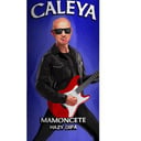 Foto de Caleya Mamoncete DIPA 44 cl