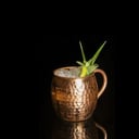 Foto de Moscow Mule