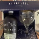 Foto de Gin Aconcagua estuche + copa