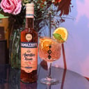 Foto de RAMAZZOTTI SPRITZ