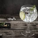 Foto de GinTonic