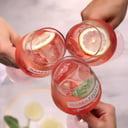 Foto de  RAMAZZOTTI TONICA