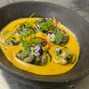 Foto de Tortellonis black