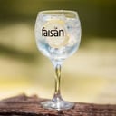 Foto de Gin Tonic Tirado Faisán