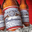 Foto de budweiser 