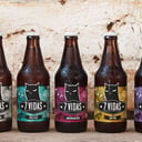 Foto de Cerveza artesanal 7 vidas