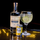 Foto de PISCO TONIC - HUAMANÍ