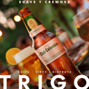 Foto de Club Colombia Trigo