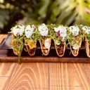 Foto de Taco Set X 6