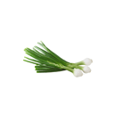Foto de Cebolla cambray