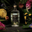Foto de Ginebra Selva SHOT