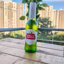 Foto de Stella artois