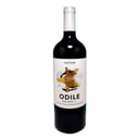 Foto de Carinae Odile Malbec 2021