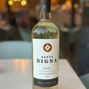 Foto de Sauvignon Blanc Reserva Santa Digna - Viña Miguel Torres
