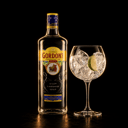 Foto de Gin Tonic con Gordons