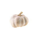 Foto de Ajo