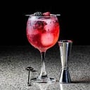 Foto de Gin Tonic Frutal