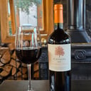 Foto de CATALPA CABERNET FRANC