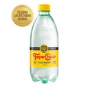 Foto de MINERAL TOPO CHICO 600ml