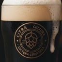 Foto de STOUT  7.0 %