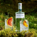 Foto de Gin The botanist