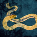 Foto de Serpiente Marina - Sidra de manzana (solo botella)