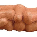 Foto de ZAPALLO ANCO POR BOLSA