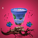 Foto de ARANDANO BAÑADOS EN CHOCOLATE