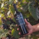 Foto de Rutini Wines - TrumpeTer - Cabernet Sauvignon
