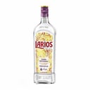 Foto de GIN LARIOS Dry